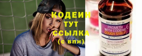 таблы Бородино