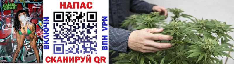 Шишки марихуана SATIVA & INDICA  Ростов 